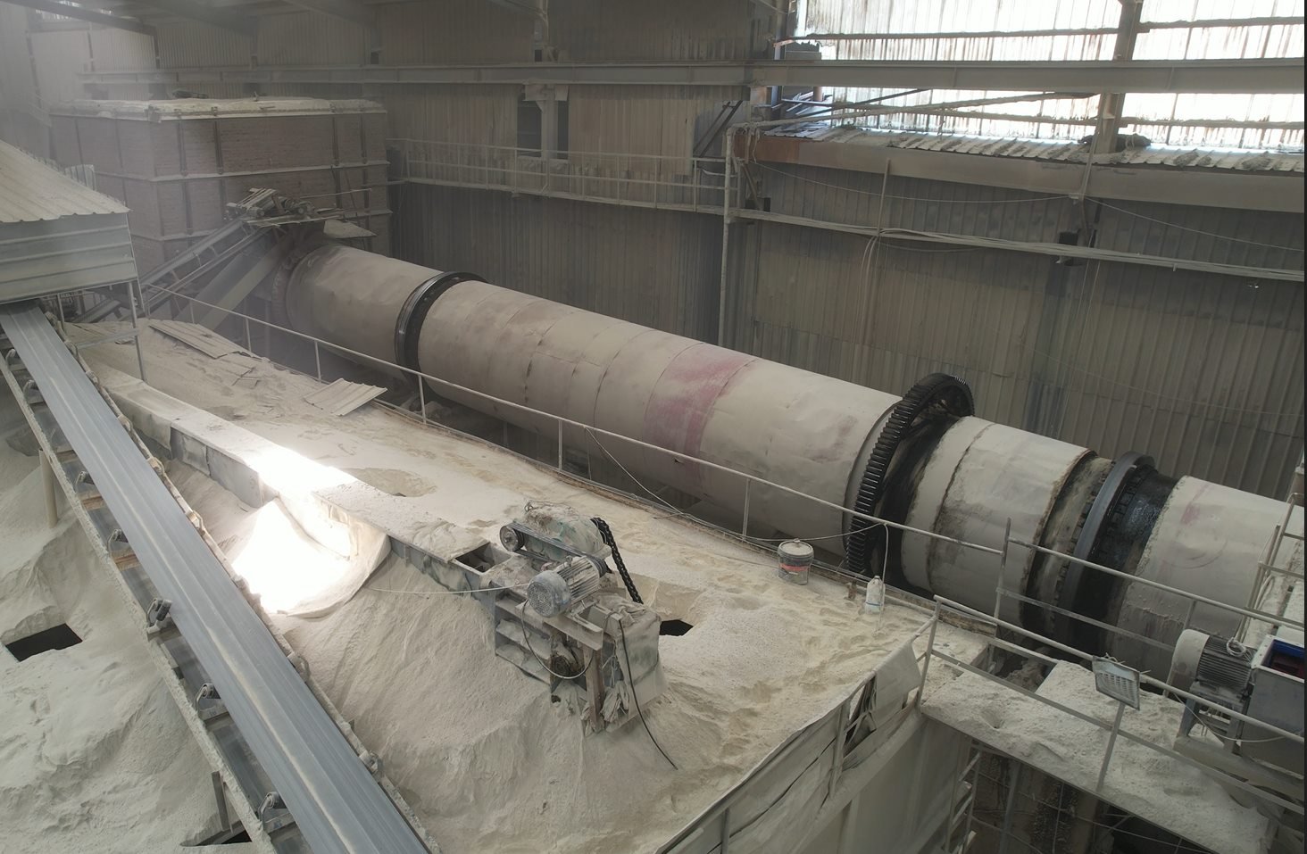 التجفيف equipment for bentonite cat litter granules